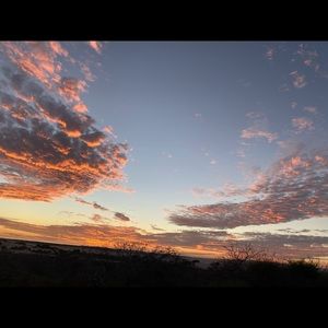 Meet your Posher, Lexi